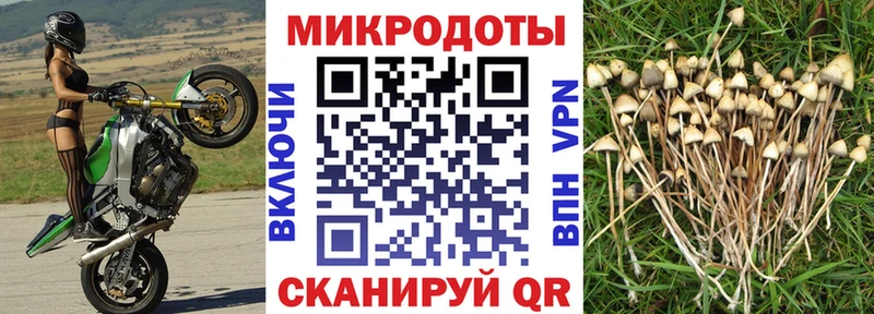 магазин продажи наркотиков  Москва  Псилоцибиновые грибы ЛСД 